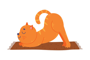 Canvas Print - Funny Red Cat Animal on Yoga Mat Practicing Asana and Stretching Vector Illustration