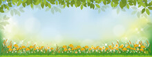 Vector Spring Nature Background With Sunflowers And Green Grass Field, Summer Background With Branches Leave On Boarder And Blurry Bokeh Light Effect. Template Banner For Easter, Spring,Summer Concept