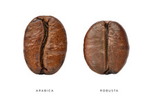 Comparative Characteristics Of Arabica And Robusta Coffee Beans Isolated On White. Clipping Path.