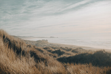 Wall Mural - Southern Oregon Coastline