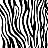 Fototapeta Konie - Zebra seamless pattern vector