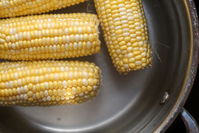 Fresh Corn On The Cob Boiling In A Pot On A Stove