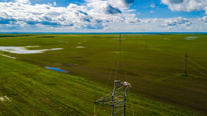 View from above. Power lines stand in a green field.