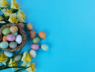 Sticker - Colorful Easter eggs, daffodil flowers and nest on sky blue background