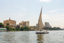 Sailboat On A River Walk Sails Along The Nile River In The Center Of Cairo Among The Skyscrapers And Attractions.