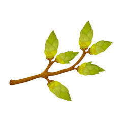 a branch with green buds. spring illustration depicting a green tree branch with swollen buds. vecto