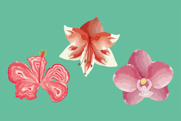 Sticker - three exotics flowers icons