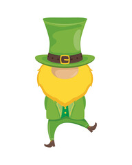 Canvas Print - leprechaun with hat