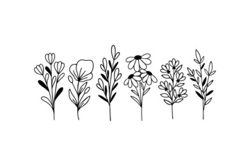 Sticker - Wildflower line art vector illustration. Flower garden elegance botanical. Hand drawn herbal and meadow plants on white background. Daisy, twigs botany, branch for summer decor.