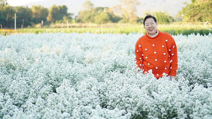 Wall Mural - Asian elderly senior woman in red sweater Christmas New Year in flower field