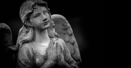 Wall Mural - Black and white image of beautiful sad angel. Copy space.