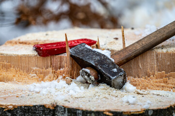 Canvas Print - A lumberjack equipment. A hummer and a wegde.