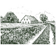 Vintage sketch illustration of old farm. Rural landscape illustration 