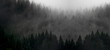 Amazing mystical rising fog forest trees firs landscape in black forest ( Schwarzwald ) Germany panorama banner view - dark mood