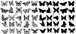 set of butterfly silhouette ,on white background, vector