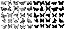 Set Of Butterfly Silhouette ,on White Background, Vector
