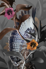 Wall Mural - hawk wing, flowers and gray foliage on a gray background, abstract collage.