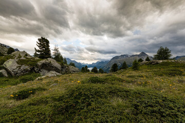 Wall Mural - Wandern