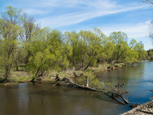 The Tanew River In The Spring Time.