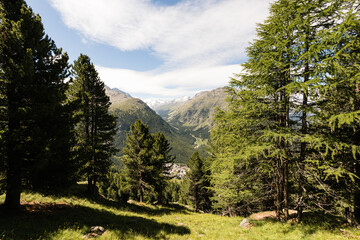 Wall Mural - Wandern