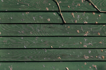 Wall Mural - Background and texture of decorative old wood striped on the wall surface.  Green  wooden wall covered with old paint