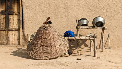 Chickens in the traditional mud house in the Thar desert