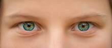Green Eyes Of A Young Girl Close-up.