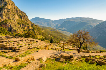 Wall Mural - Delphi Sanctuary, Phocis, Greece