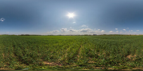 Wall Mural - 360 hdri panorama view among farming fields with sun without clouds in clear sky in full seamless eq
