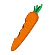 bitten carrot vegetables illustration vector design