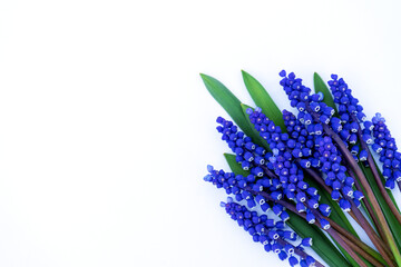 cute delicate bouquet of blue spring flowers with copy space for design. flower composition.