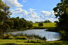 Lake Pillans Wetlands At Lithgow, Australia