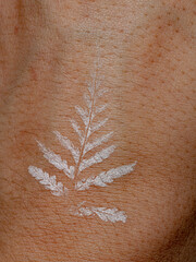 Canvas Print - natural white tattoo with pteridophyte leaf