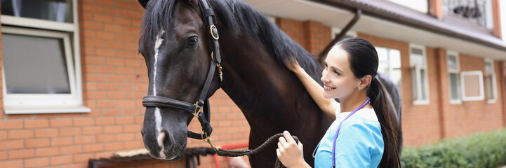 Wall Mural - Female veterinarian conducts physical examination of black horse