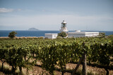 Fototapeta  - salina isole eolie