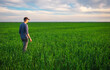 Handsome farmer. Young man walking in green field. Spring agriculture.
