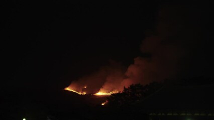 Wall Mural - Forest Fire Burning in Distance, Danger in Dark Night