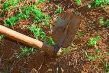 A Sharpened Hoe Or Hand Plough With Soil Ready To Be Used For Gardening