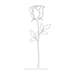 Wall Mural - rose contour one line sketch vector