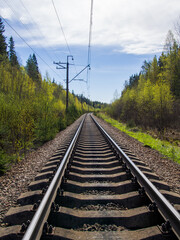 A single track railway in a forest belt. An industrial landscape with a railway. Perspective, the rails rush into the distance towards the horizon.