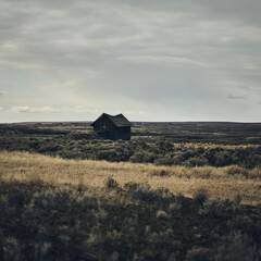 Poster - An old burnt house in the burnt field against a cloudy sky on a gloomy day