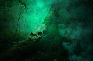 Wall Mural - Skull in green smoke on the root of mossy tree. Shamanic ritual in the woods