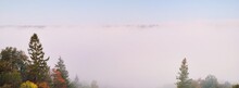Gauja River Valley And Majestic Evergreen Forest In A Clouds Of Mysterious Morning Fog At Sunrise, Pine And Spruce Trees. Sigulda, Latvia. Breathtaking Panoramic Aerial View. Pure Nature, Eco Tourism