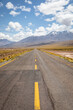 Ein Roadtrip durch die Atacama Wüste Chiles entlang der asphaltierten Hauptstraße vorbei an riesigen Vulkanen und schneebedeckten Bergen