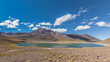 Die Lagune Miscanti mit ihrem blauen Wasser, den grünen Grasbüscheln und den Vulkanen im Hintergrund in mitten der Atacama Wüste in Chile