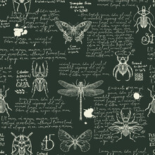 Seamless Pattern With Various Insects And Handwritten Text Lorem Ipsum. Hand-drawn Vector Background With Butterflies, Beetles, Dragonfly On Black Backdrop. Wallpaper, Wrapping Paper Or Fabric Design