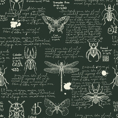 Wall Mural - Seamless pattern with various insects and handwritten text Lorem Ipsum. Hand-drawn vector background with butterflies, beetles, dragonfly on black backdrop. Wallpaper, wrapping paper or fabric design