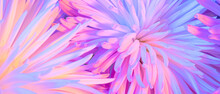 Close-up Photo Of Chrysanthemum Bouquet. Abstract Floral Background