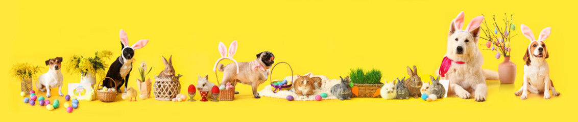 Poster - Cute fluffy rabbit with Easter eggs and basket on color background