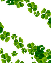 Green Clover Leaves Isolated On White Background. St.Patrick 's Day